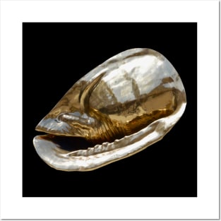 Gold Shell / Swiss Artwork Photography Posters and Art
